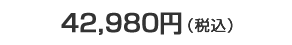 41,790�~�i�ŁE�������݁j