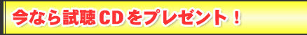 Ȃ玎CDv[gI